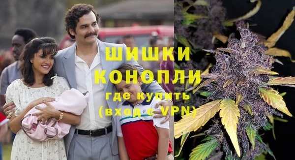 сатива Армянск