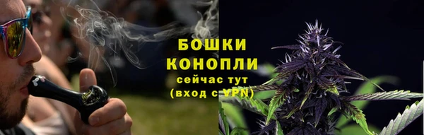 сатива Армянск