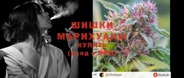 сатива Армянск