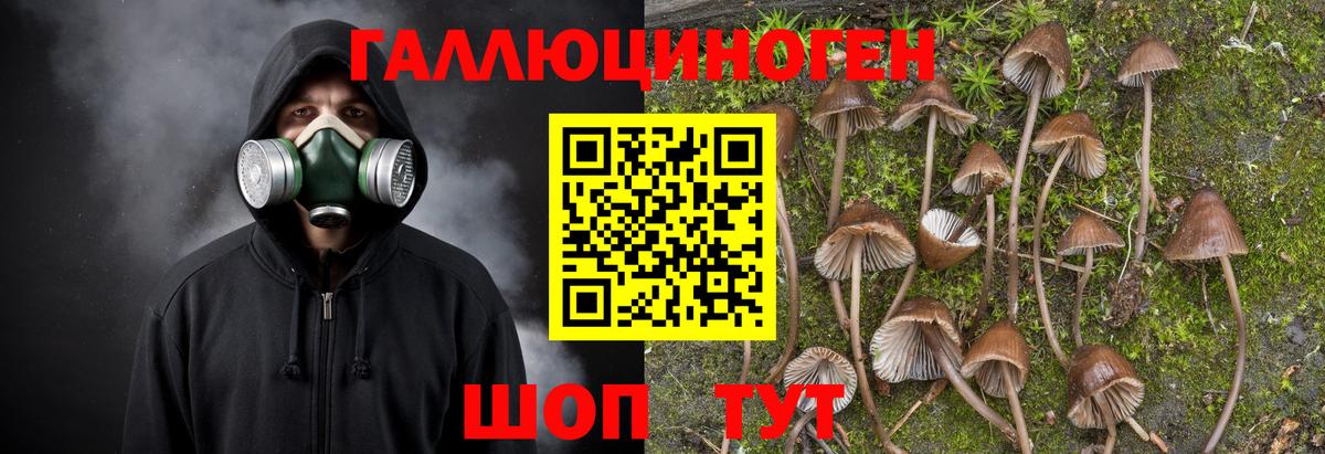 Галлюциногенные грибы Magic Shrooms  Галлюциногенные грибы прущие грибы  Кунгур  Вход с VPN 